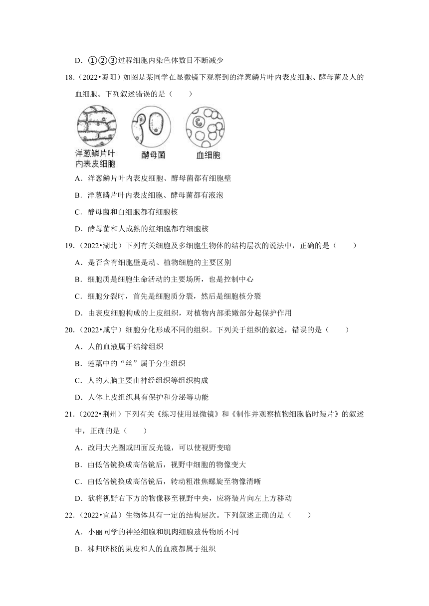 专题1生命系统的结构层次——2022-2023年湖北省中考生物试题分类（word版+解析版）