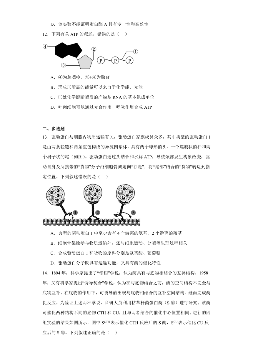 3.1生命活动需要酶和能源物质 练习（解析版）