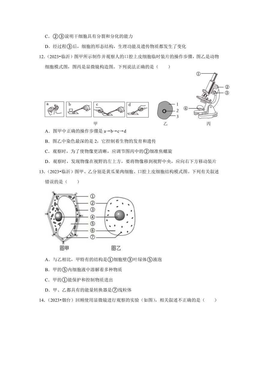 专题1生命体的结构层次——2022-2023年山东省中考生物试题分类（含解析）