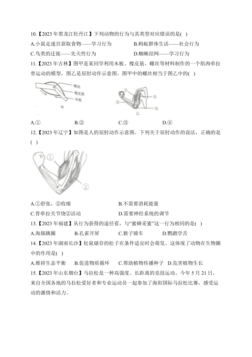 （14）动物的运动和行为——2023年中考生物真题专项汇编（含答案）