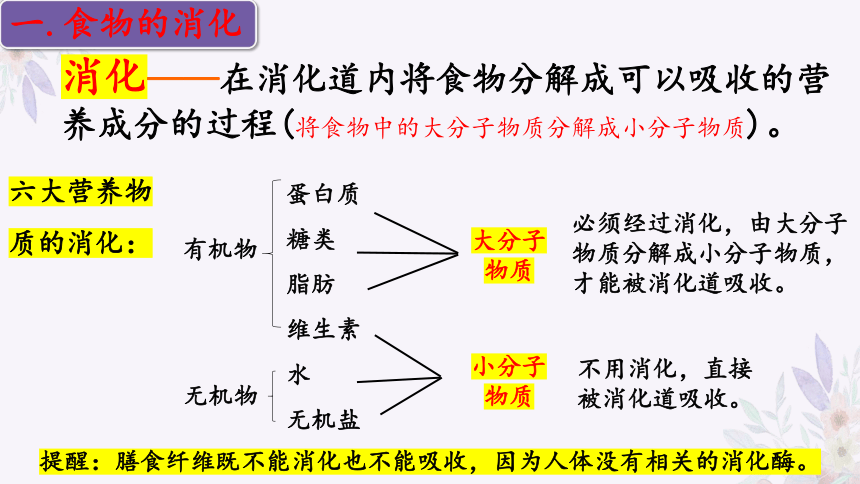 4.9.2 人体的消化与吸收（第二课时）-2023-2024学年七年级生物下册同步精品课堂（苏教版）(共31张PPT)