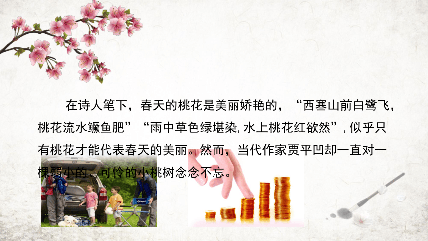19 一棵小桃树 课件(共22张PPT) 2023-2024学年初中语文部编版七年级下册
