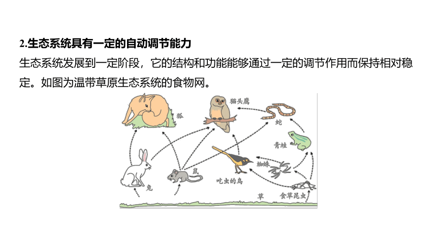 2.5生态系统的稳定性（课件 23张PPT)