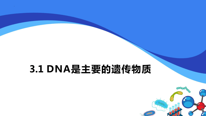 3.1DNA是主要的遗传物质-(共52张PPT1份视频)课件人教版2019必修2