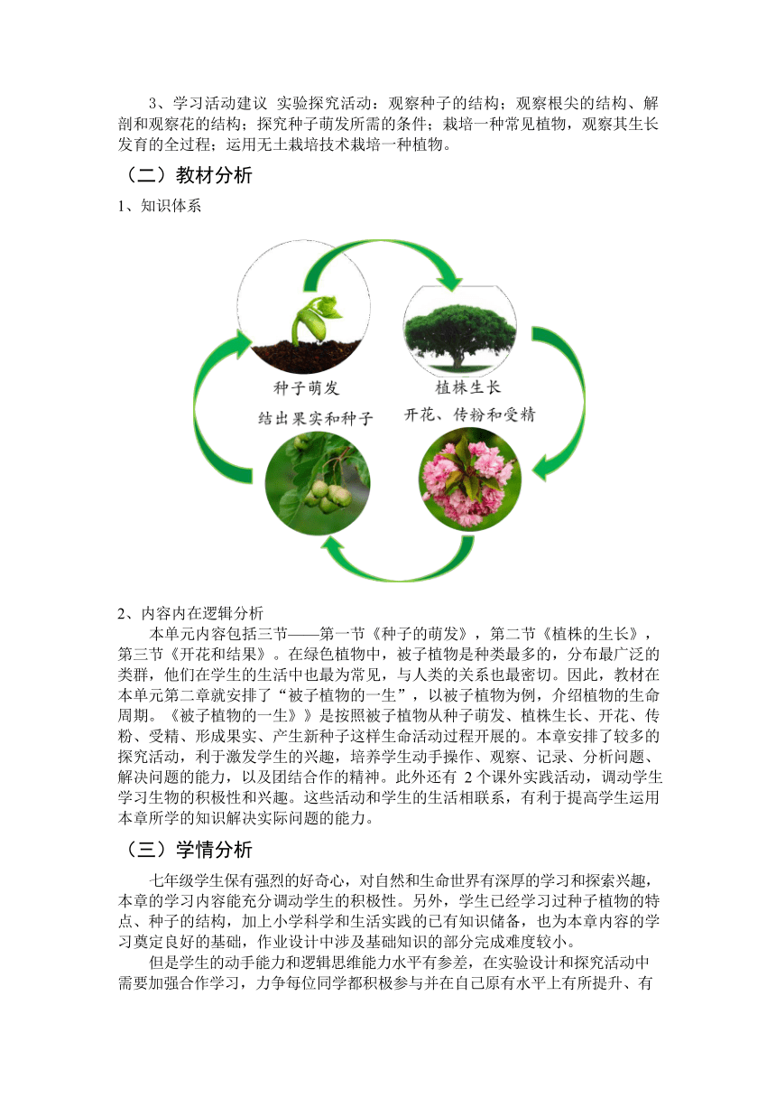 3.2被子植物的一生作业设计 （含答案）人教版生物七年级上册