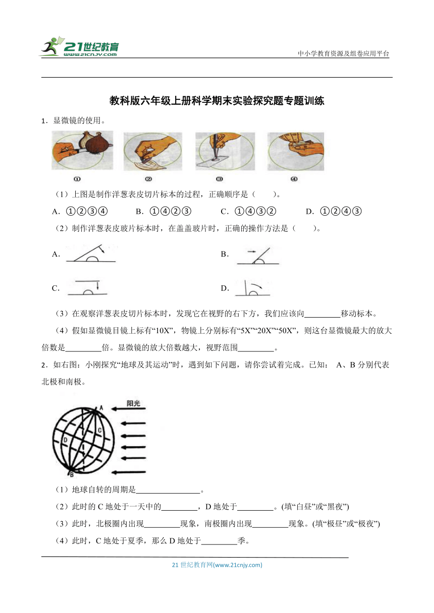 教科版六年级上册科学期末实验探究题专题训练（含答案）