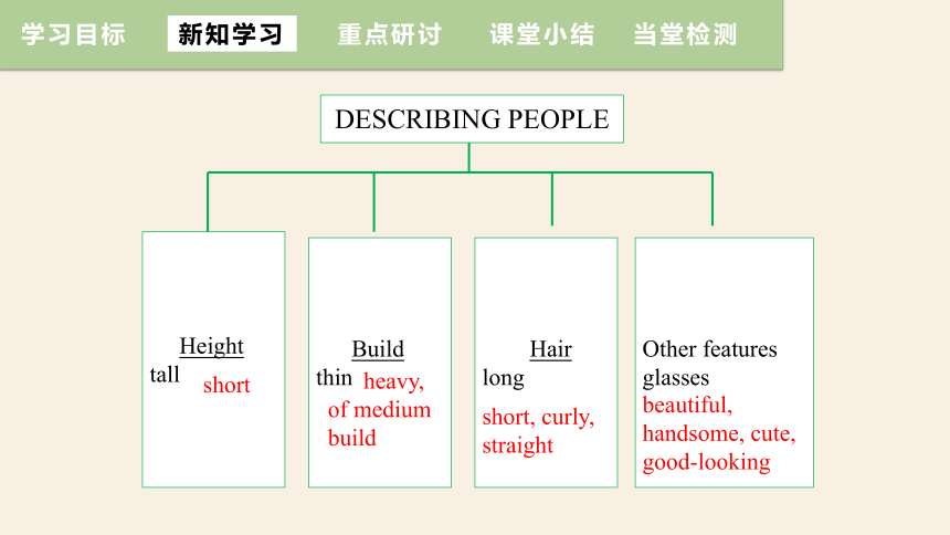 Unit 9  What does he look like Section B 3a-Self Check课件(共20张PPT) 人教版英语七年级下册