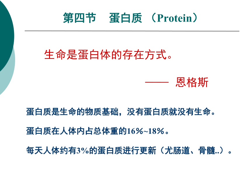 1营养学基础-4蛋白质 课件(共46张PPT)- 《营养与食品卫生学》同步教学（人卫版·第7版）