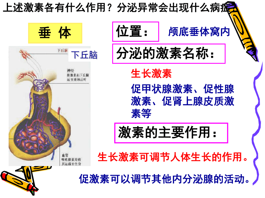 4.12.1 人体的激素调节 课件(共49张PPT)2022-2023学年苏教版生物七年级下册