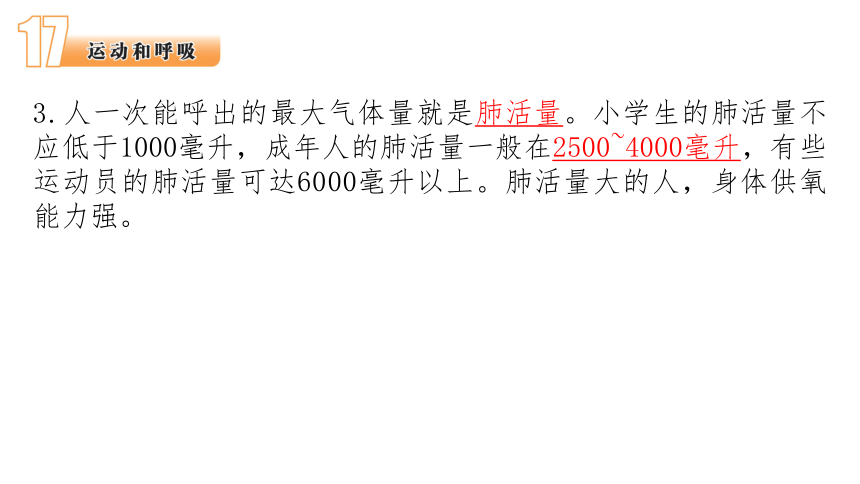 苏教版（2017版）三年级科学上册《第5单元 人的呼吸和消化》期末知识点回顾 课件（30张PPT）