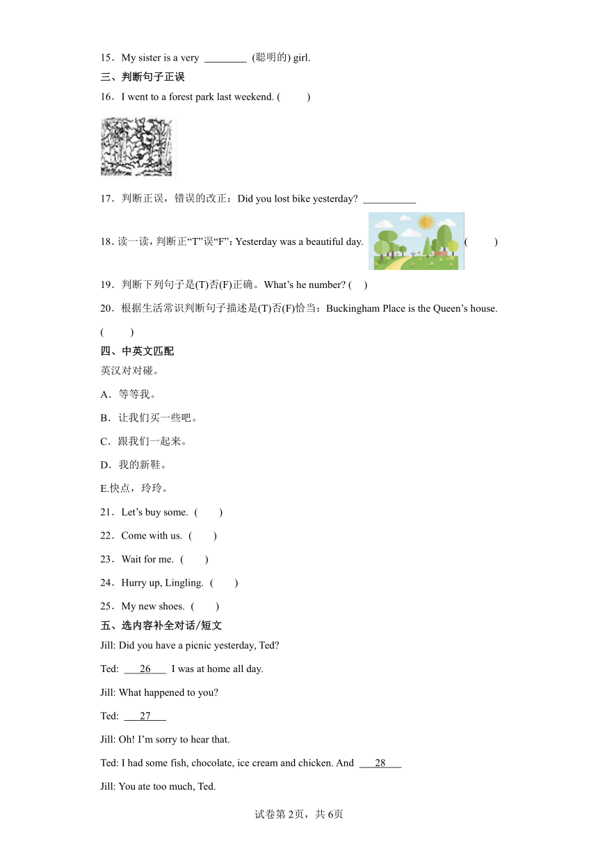 期中阶段素养达标测-五年级英语上学期 外研版（三起）（含解析）