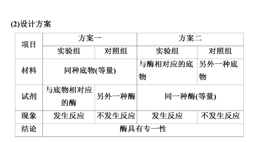 新人教高考生物学一轮复习素养加强课1　对酶相关实验的基本思想和方法的迁移应用(课件共35张PPT)