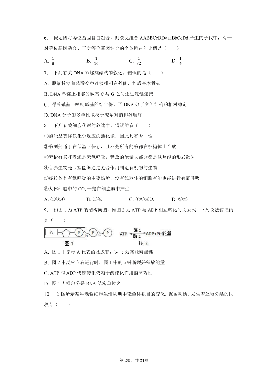 2022-2023学年江西省新余重点中学高一（下）期末生物试卷（含解析）