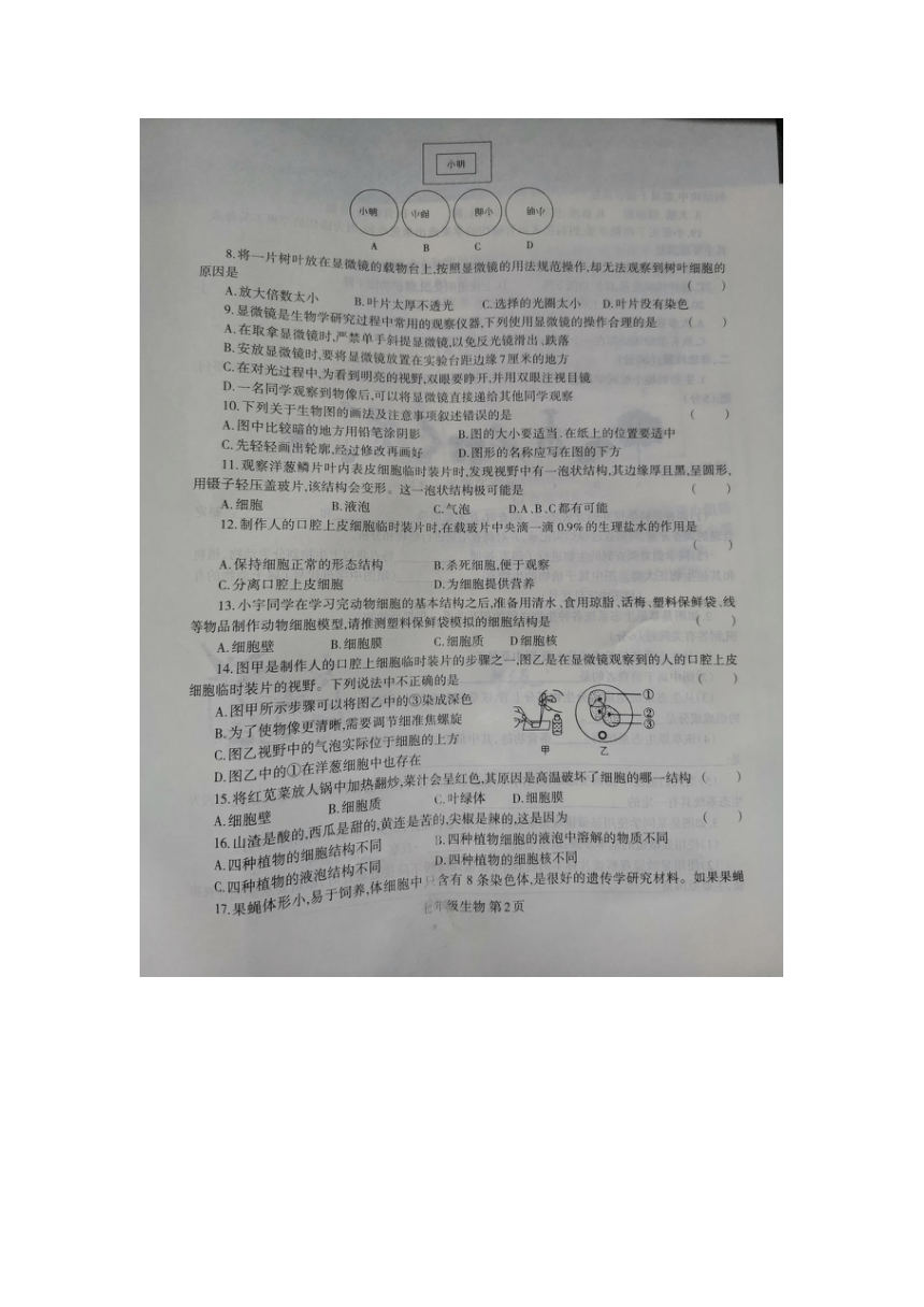 河南省商丘市民权县2023-2024学年七年级上学期期中生物试题（PDF版无答案）
