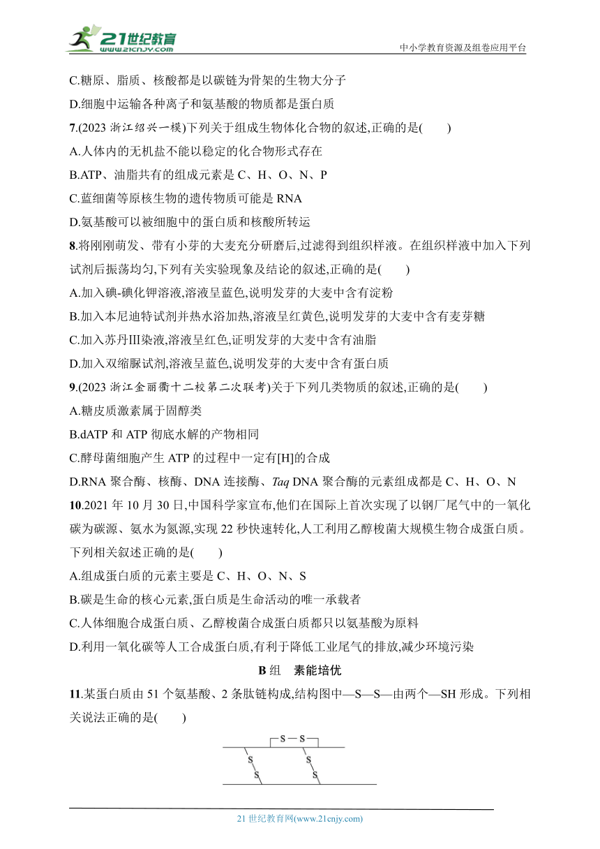 2025浙科版新教材生物学高考第一轮基础练--作业2　蛋白质与核酸（含解析）