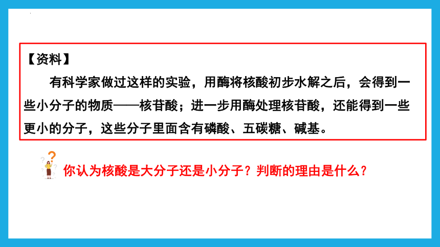 2.5核酸是遗传信息的携带者 课件(共39张PPT)