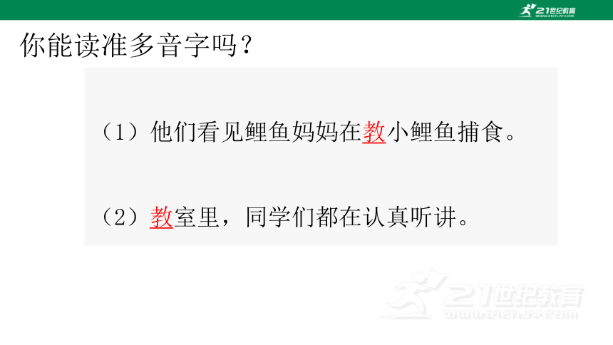 1小蝌蚪找妈妈 课件