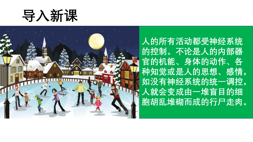 4.6.2 神经系统的组成 课件(共23张PPT＋内嵌视频1个) 人教版生物七年级下册