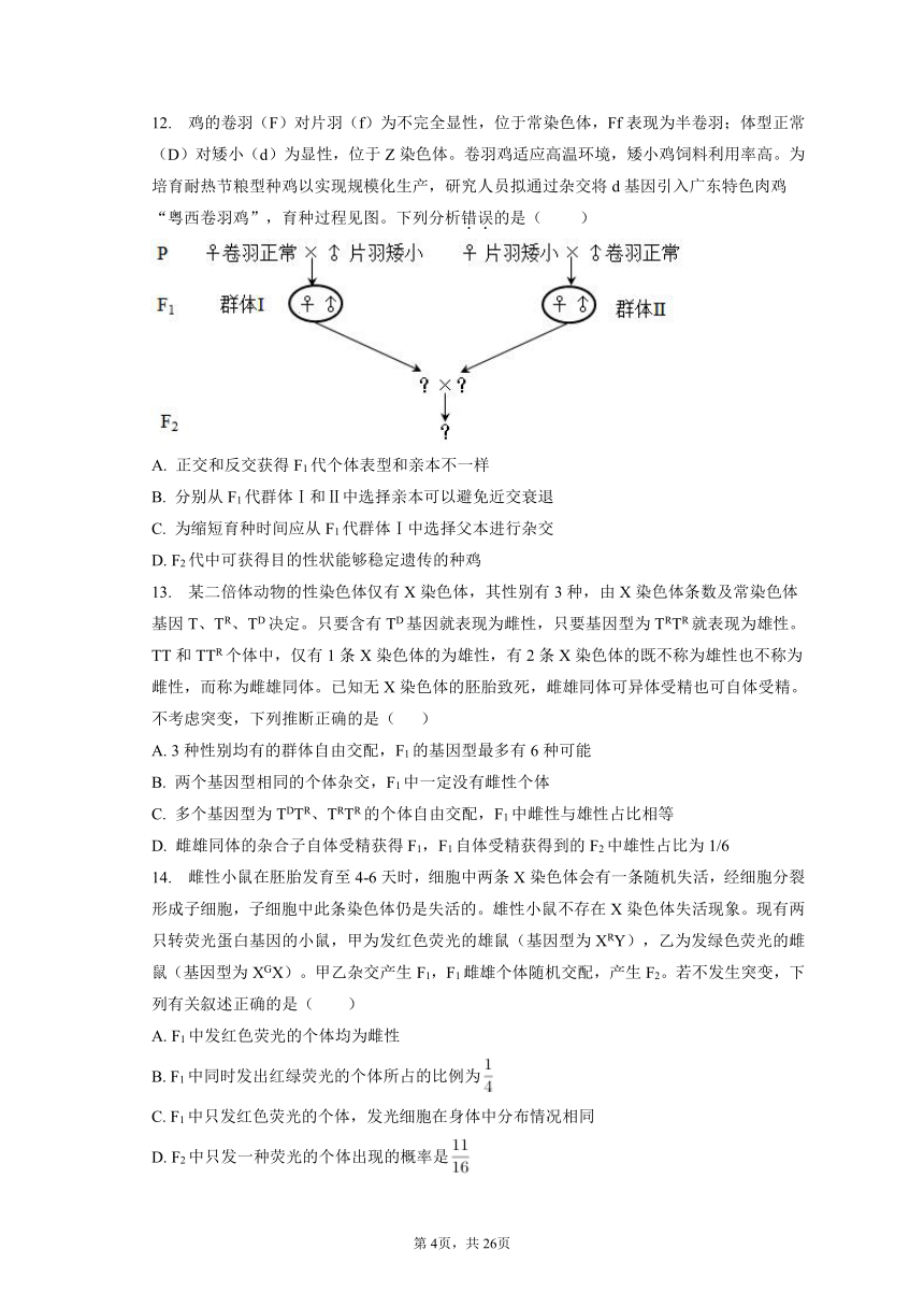 【真题分类汇编】专题09 伴性遗传和人类遗传病（有解析）--2019-2023年高中生物真题分类汇编专题练习