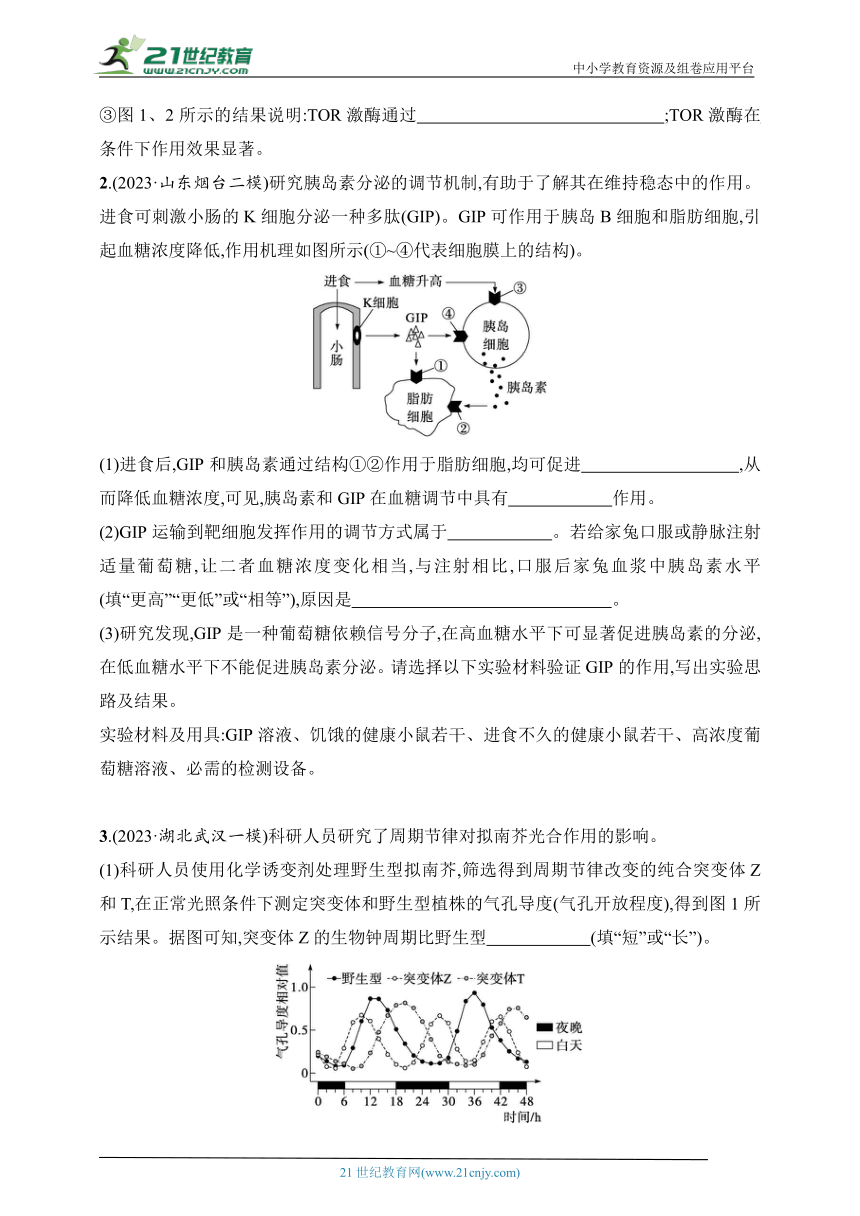 【备考2024】高中生物二轮专题练习  7.实验设计与分析（含解析）