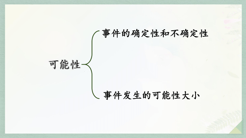 通用版2024小升初数学总复习知识点19 可能性课件含练习（共24张PPT)