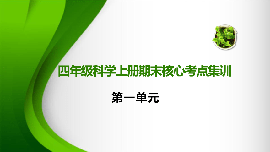 第1单元 动物王国（复习课件）(共24张PPT)-2023-2024学年四年级科学上册期末核心考点集训（青岛版）