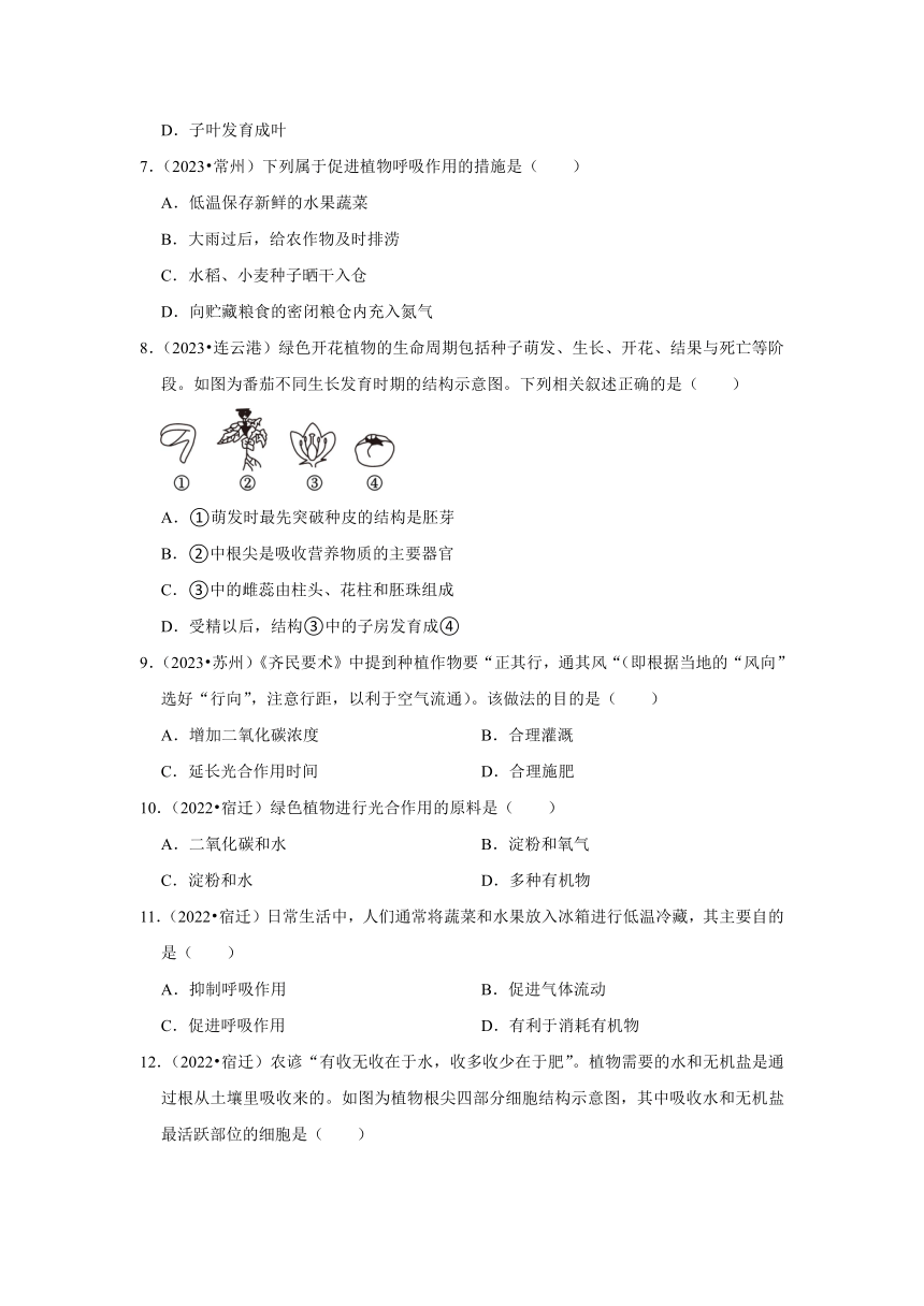 专题3绿色植物——2022-2023年江苏省中考生物试题分类（含解析）