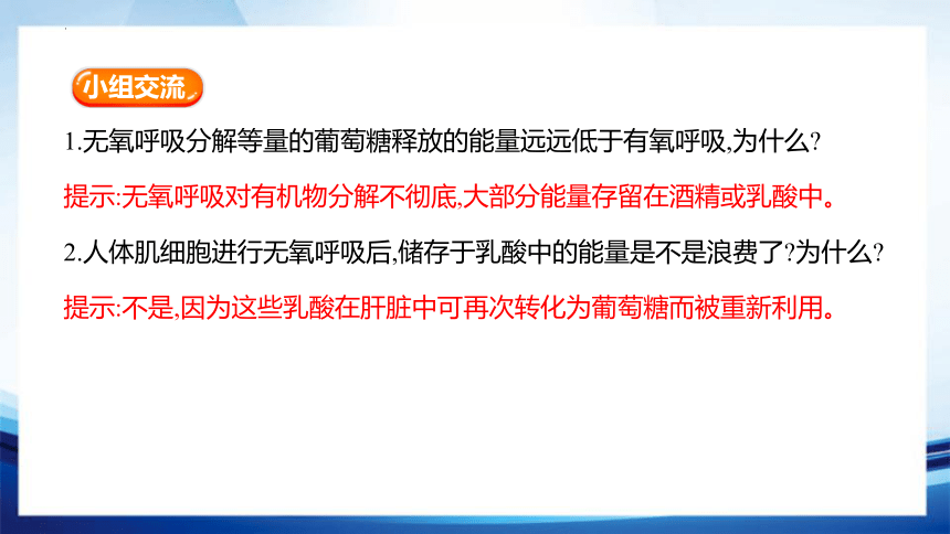 5.3.2 无氧呼吸及细胞呼吸原理的应用(共25张PPT)-高一生物课件（人教版2019必修1）