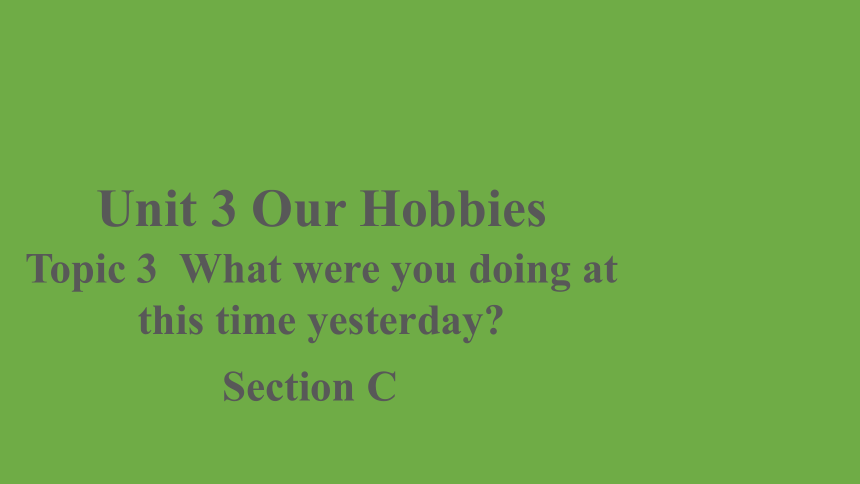 Unit 3 Our Hobbies Topic 3 Section C 课件(共17张PPT)