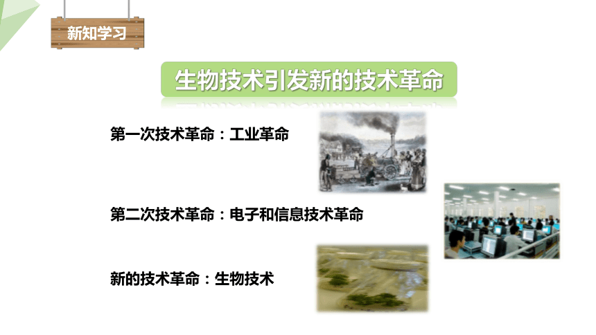 9.24.2 关注生物技术 课件 (共16张PPT)2023-2024学年初中生物苏教版八年级下册