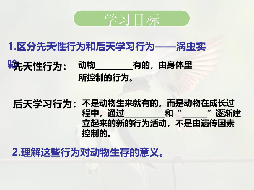 16.1 先天性行为和后天学习行为-【生物讲堂】2023-2024学年八年级生物上册同步备课课件（北师大版）(共29张PPT)