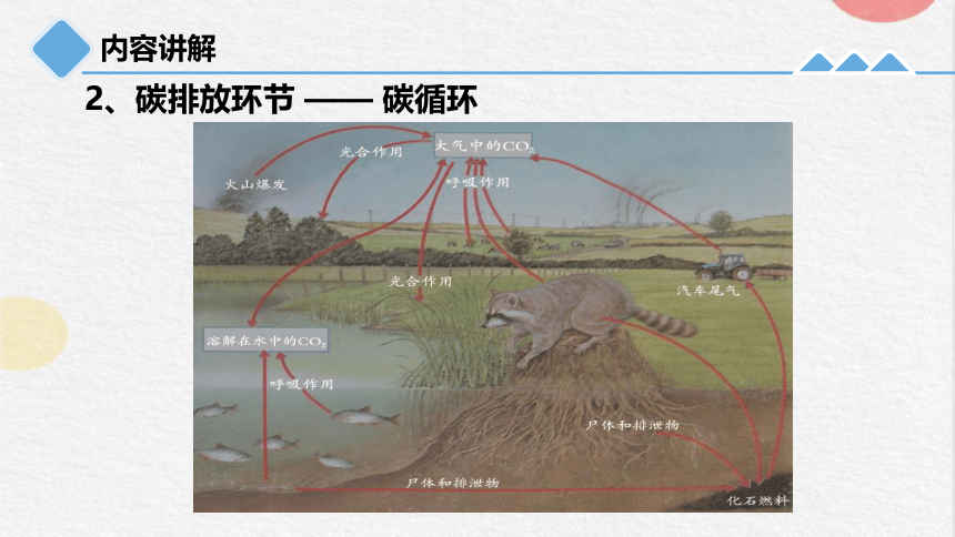 4.3 低碳生活（课件 28张PPT）