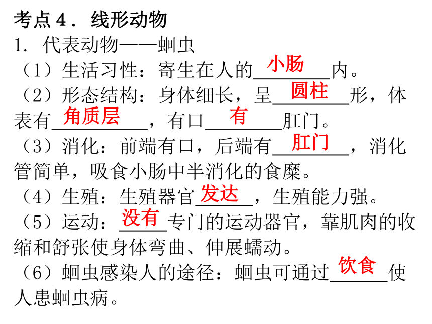 5.1 动物的主要类群 复习课件(共60张PPT)2023-2024学年人教版生物八年级上册