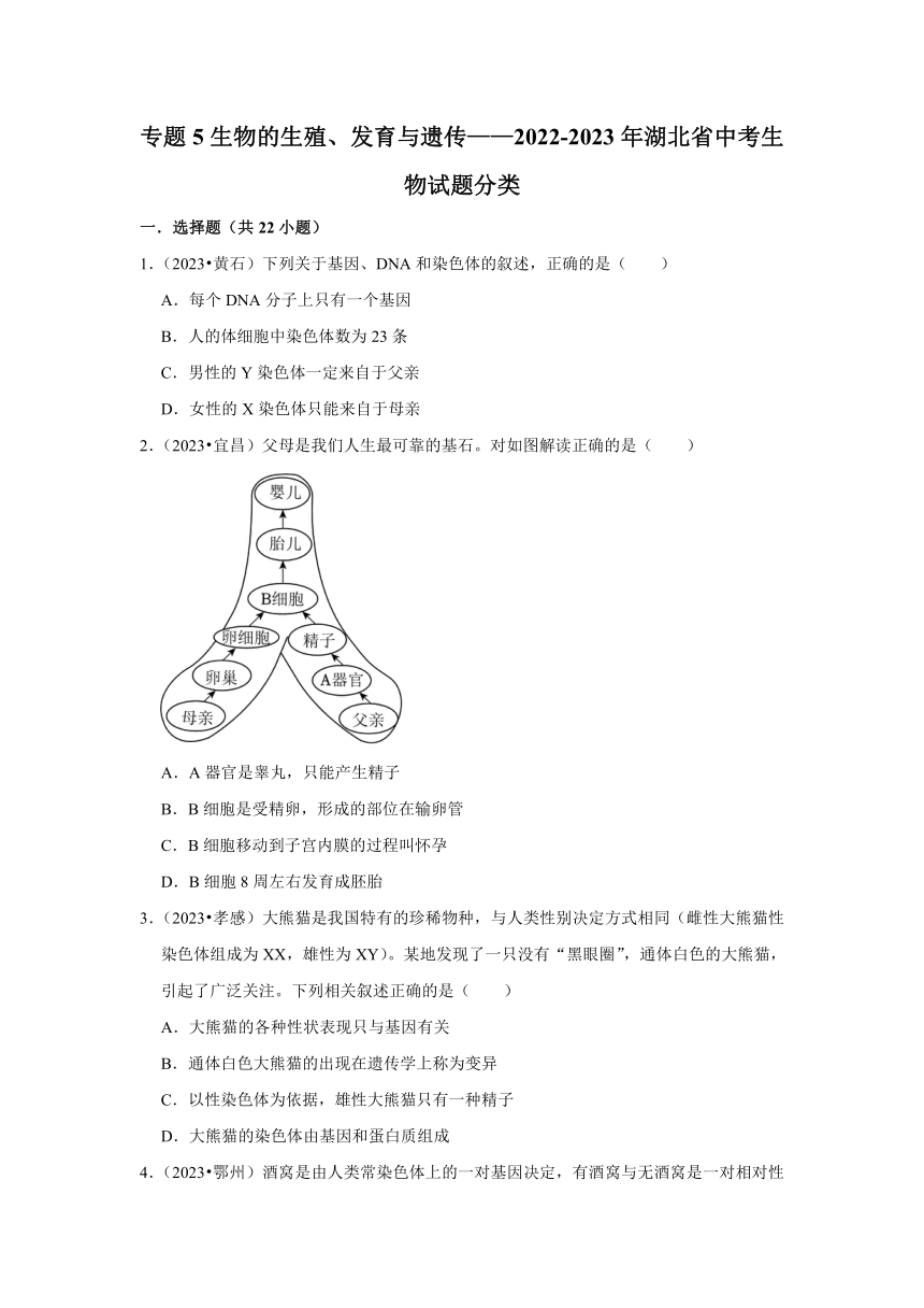专题5生物的生殖、发育与遗传——2022-2023年湖北省中考生物试题分类（word版+解析版）