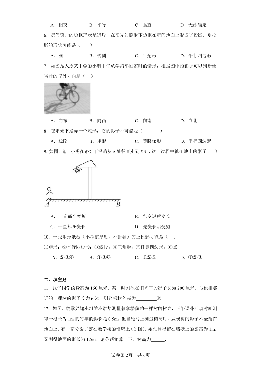 32.1投影随堂练习（含答案）冀教版数学九年级下册