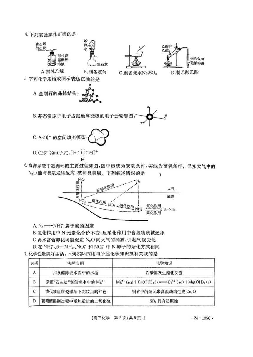 广东省2024 届湛江市普通高中毕业班10月调研测试金太阳化学试卷（PDF版含答案）