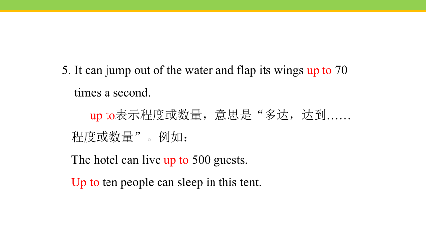 Unit 3 Lesson 14 Amazing  animals  课件(共23张PPT) 2023-2024学年冀教版英语八年级下册