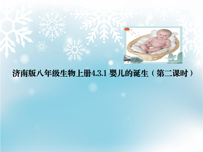 4.3.1 婴儿的诞生（第二课时） 课件 (共25张PPT) 山东省济南市济南版生物八年级上册