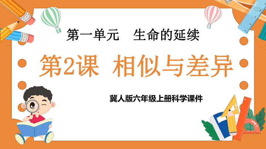 冀人版（2017秋）小学科学 六年级上册 1.2相似与差异（课件 共14张PPT+视频）