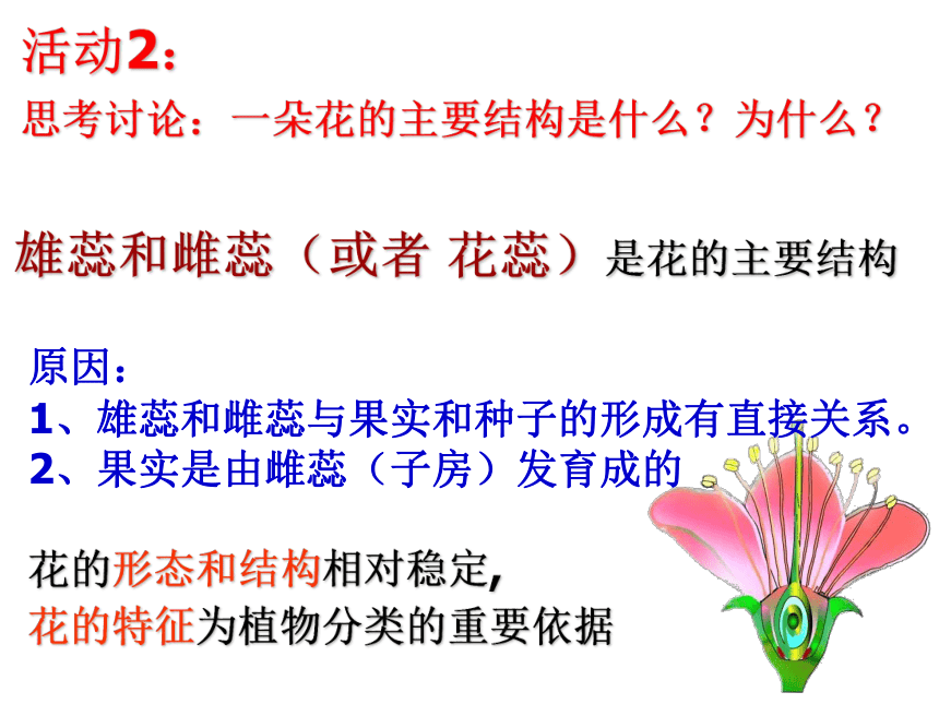 4.1.1 花的结构和类型（2课时）课件(共35张PPT) 2023-2024学年八年级生物上册（济南版）