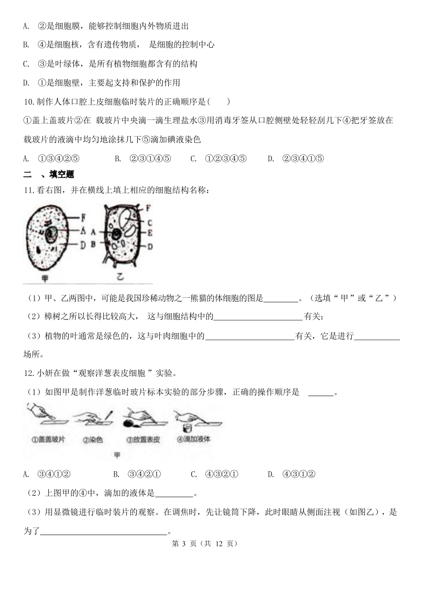 2.2 细胞 同步练习（含解析）