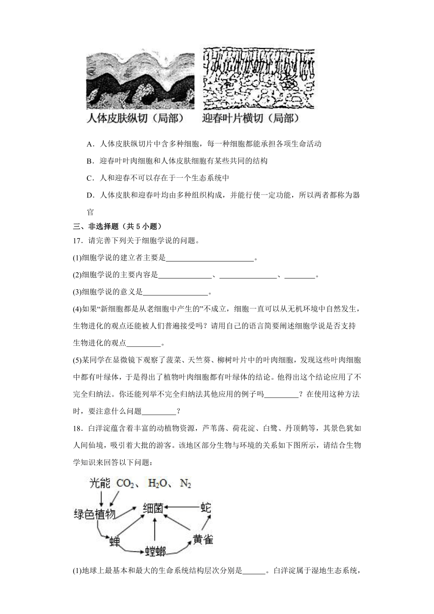 1.1细胞是生命活动的基本单位 检测练习（有答案）2023-2024学年高一上学期生物人教版必修1