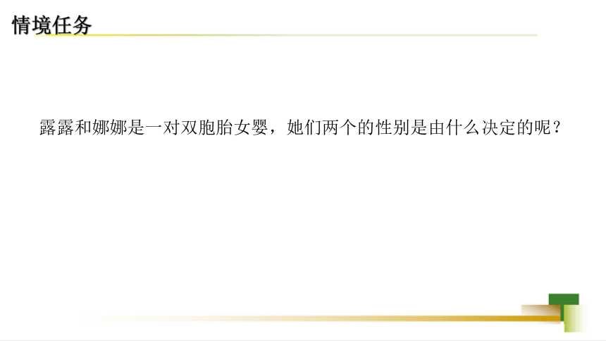 4.4.3人类染色体与性别决定课件(共20张PPT)2023-2024学年济南版八年级生物上册