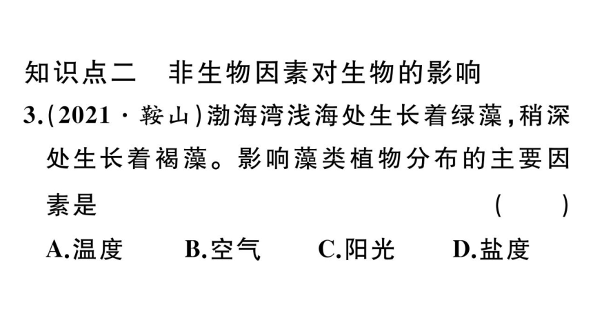 1.2.1生物与环境的关系习题课件(共38张PPT)