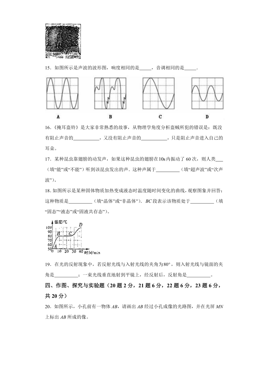 黑龙江省鸡西地区2023-2024学年八年级上学期期中考试物理试题（含答案）