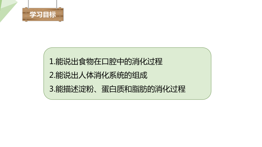 2.1.2 食物的消化  课件(共27张PPT) 2023-2024学年初中生物冀少版七年级下册