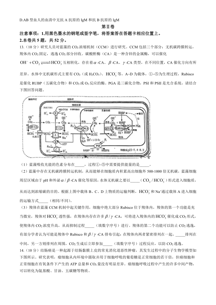 天津市南开区2023-2024学年高三下学期3月第一次质量监测（一）生物学试卷（含答案）