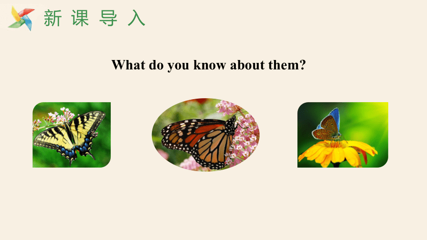 Unit 5 Lesson 28 The Study of Living Things  课件(共20张PPT)