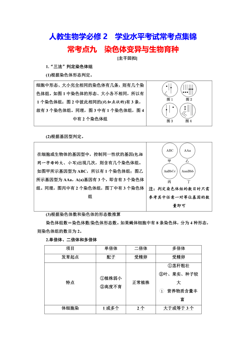 人教2019生物学必修2学业水平考试常考点习题集锦：常考点九　染色体变异与生物育种（含解析）