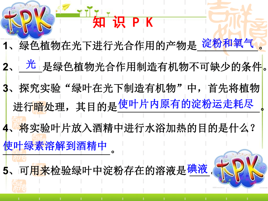 3.3.2光合作用的原料课件(共17张PPT)2022--2023学年冀少版生物八年级上册